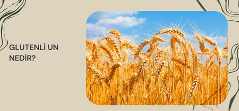 Glutenli Un Nedir?